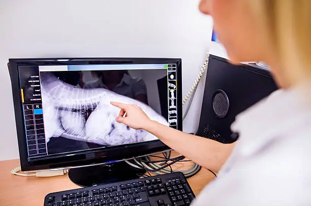 X-Ray for pets